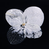 Hydrangea plate -one flower-