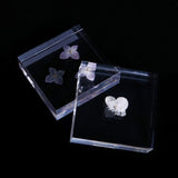 Hydrangea plate -one flower-