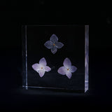 Hydrangea plate -three flower-