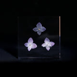 Hydrangea plate -three flower-