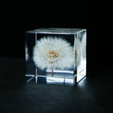 Dandelion (1.6in cube)