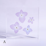 Hydrangea plate -four flower-