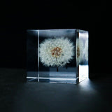 Dandelion (2.0in cube)