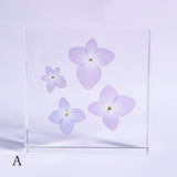 Hydrangea plate -four flower-