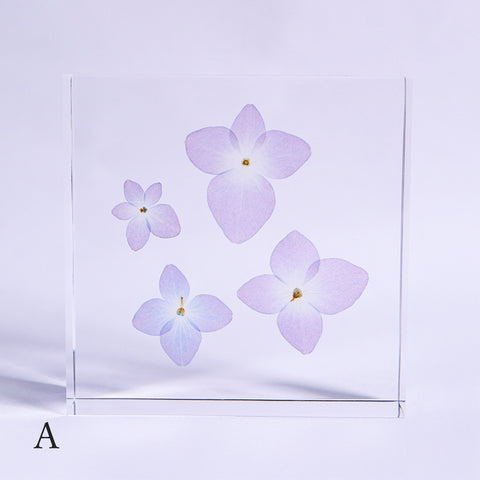 Hydrangea plate -four flower-