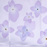 Hydrangea plate -four flower-