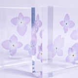 Hydrangea plate -four flower-