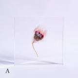 Chamomile sunray plate