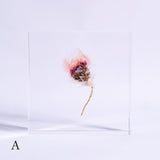 Chamomile sunray plate