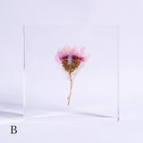 Chamomile sunray plate