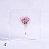 Chamomile sunray plate