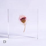 Chamomile sunray plate