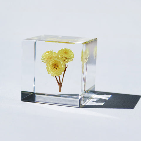 Immortelle
