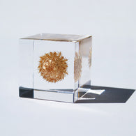 Basket flower