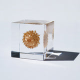Basket flower