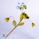 Veronica persica