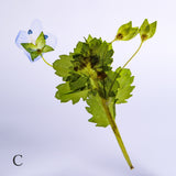 Veronica persica