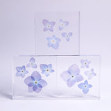Blue Hydrangea plate -four flower-