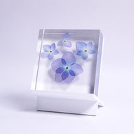 Blue Hydrangea plate -four flower-