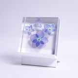 Blue Hydrangea plate -four flower-