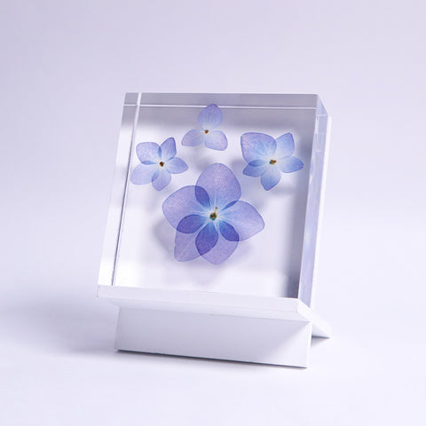 Blue Hydrangea plate -four flower-