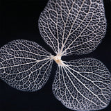 Hydrangea flower vein
