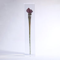 Sarracenia