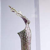 Sarracenia