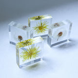 Sola tile Dandelion Set