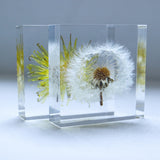 Sola tile Dandelion Set