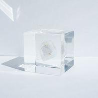 Fluorite (2.0in cube)1