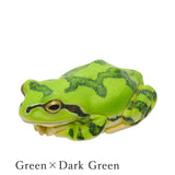 Dryophytes japonicus Mejirushi Mascot