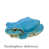 Dryophytes japonicus Mejirushi Mascot