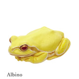 Dryophytes japonicus Mejirushi Mascot