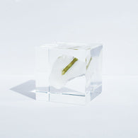 Tourmaline in crystal(2.0in cube)