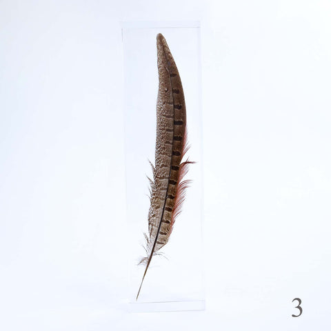 Pheasant feather – Usagi no Nedoko
