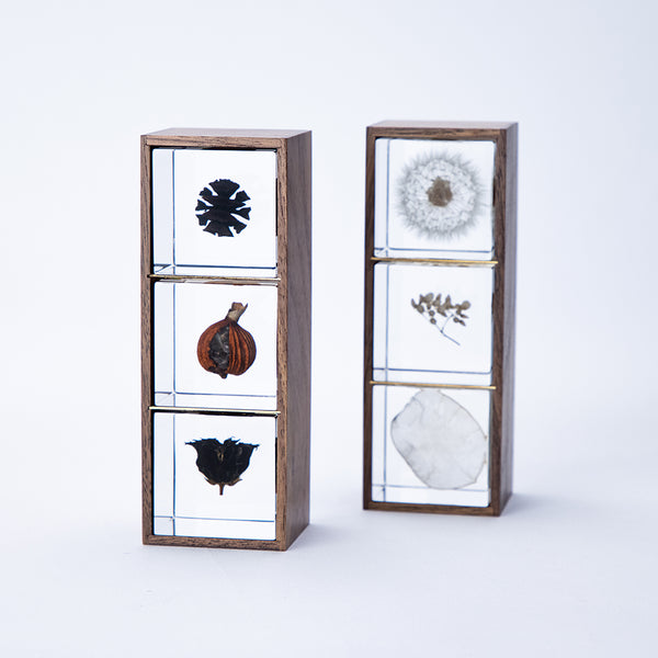 3 Sola cubes set with display case (your own choice) – Usagi no Nedoko