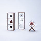 3 Sola cubes set with display case (your own choice)