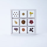 9 Sola cubes set with display case