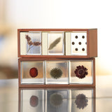 3 Sola cubes set with display case (A)