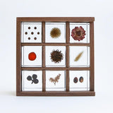 9 Sola cubes set with display case