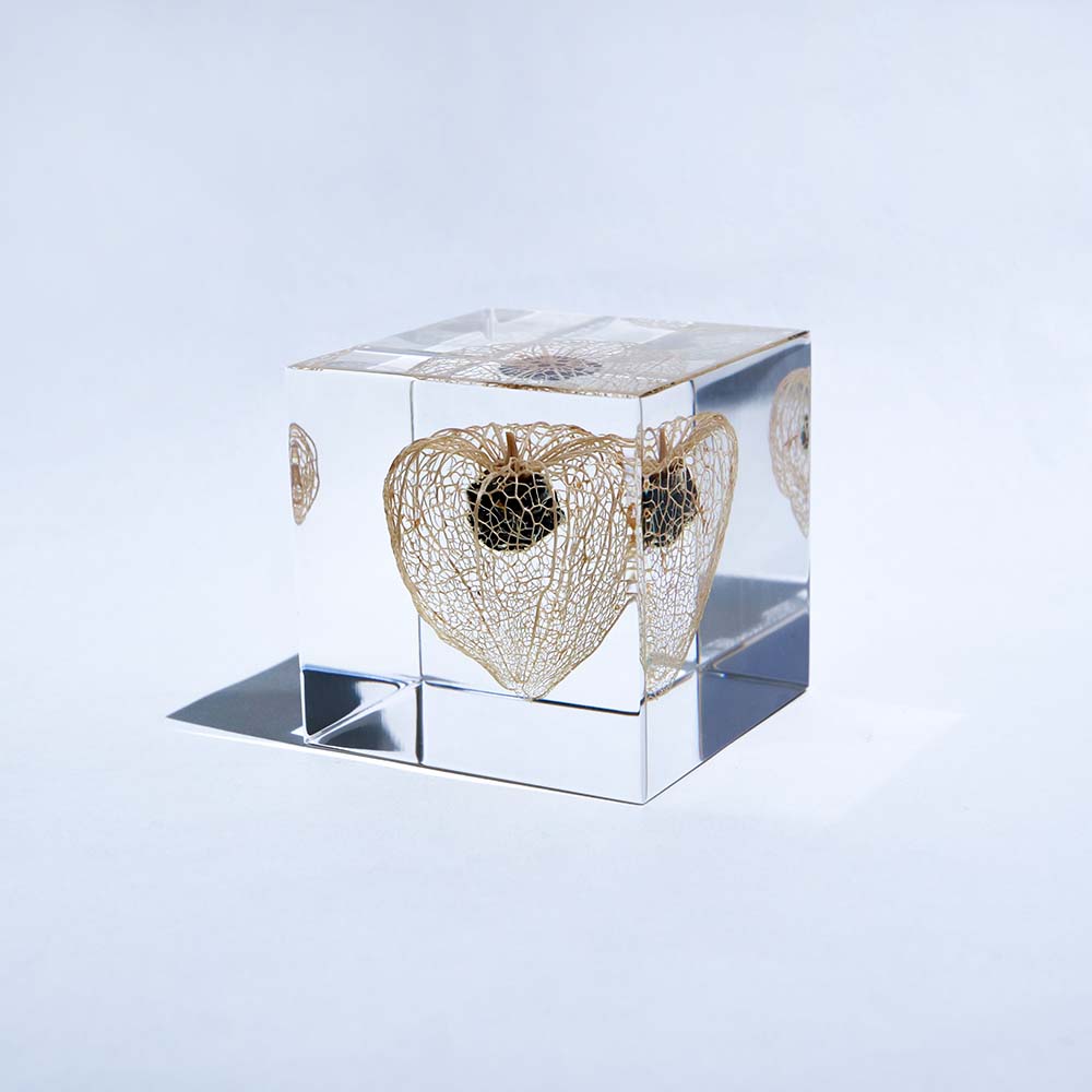 Sola cube – Usagi no Nedoko